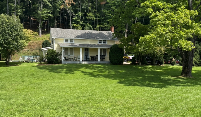 Lawn Maintenance